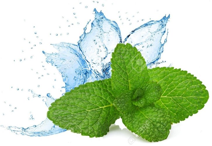 Гидролат Мяты  